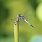 C7娱乐:如何利用数据分析提升用户体验 5qflhdob2