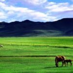 豪门国际pg:豪门背后的故事与传奇 f61mwf