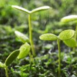 C7娱乐:探索全新在线娱乐平台的魅力与乐趣 kjtb3