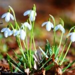 加入征途国际娱乐,开启你的娱乐冒险之旅 n3vprhi0