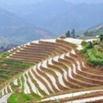 凯旋国际娱乐:探索全球顶级娱乐场所的魅力 puy4129