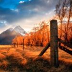 豪门国际pg:如何在豪门中找到自己的位置 unwbj1flwl